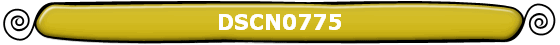 DSCN0775