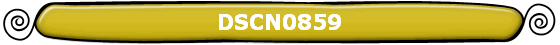 DSCN0859