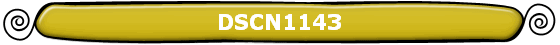 DSCN1143