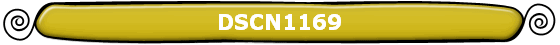 DSCN1169