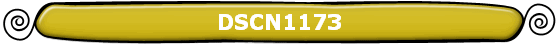 DSCN1173