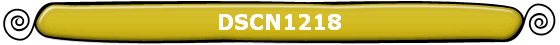 DSCN1218