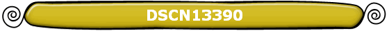 DSCN13390