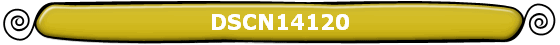 DSCN14120