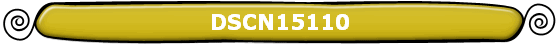 DSCN15110