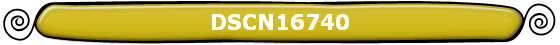 DSCN16740