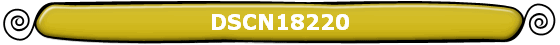 DSCN18220