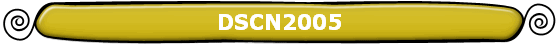 DSCN2005