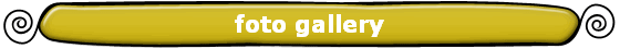 foto gallery