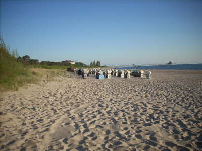 DSCN2006